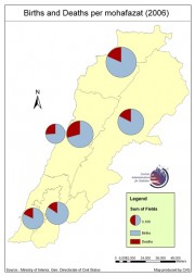 Births_Deaths_2006.jpg